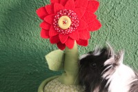 /album/todo-cobayas/img-5758-jpg/