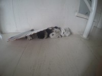 /album/fotogaleria/g0841824-1443289746060-low-jpg/