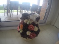 /album/fotogaleria/g0861826-1443289746060-low-jpg/