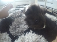 /album/fotogaleria/g1021843-1443289746060-low-2-jpg/