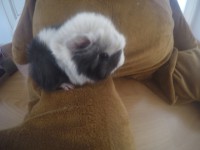 /album/fotogaleria/gopr2126-1446971933451-low-jpg/