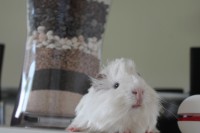 /album/fotogaleria/img-5739-jpg/