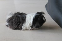 /album/fotogaleria/img-5745-jpg/