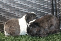 /album/fotogaleria/img-6216-jpg/