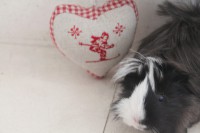 /album/fotogaleria/img-5783-jpg/