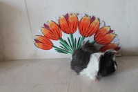 /album/fotogaleria/img-5748-jpg/