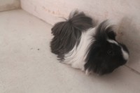 /album/fotogaleria/img-5842-jpg/