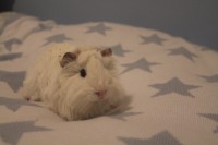 /album/fotogaleria/image-jpeg/