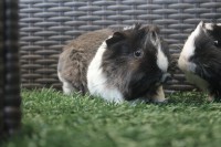 /album/fotogaleria/img-6214-jpg1/