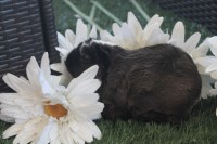 /album/fotogaleria/img-6220-jpg1/