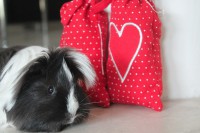 /album/fotogaleria/img-5755-jpg1/