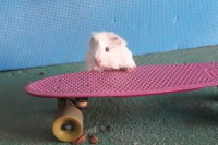 /album/fotogaleria/img-5765-jpg1/